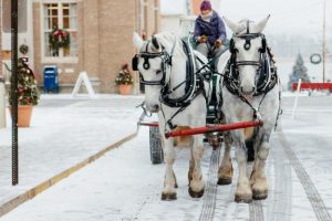 Athens-annual-victorian-stroll