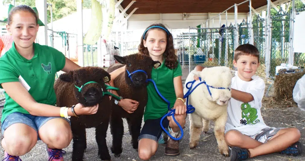 Kids and farm animals at the Putnam County Country Fest & 4-H Showcase