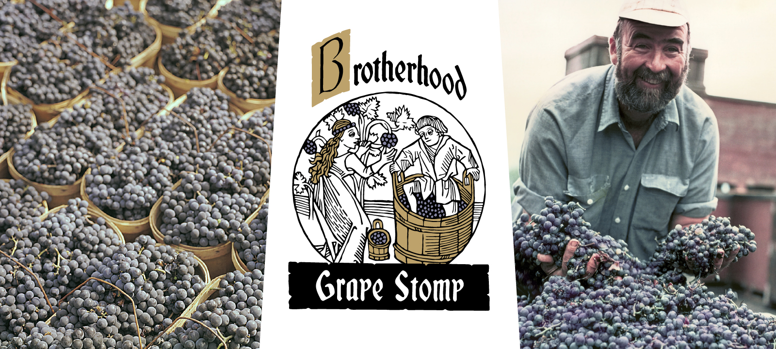 Grape Stomping @ Brotherhood, America's Oldest Winery