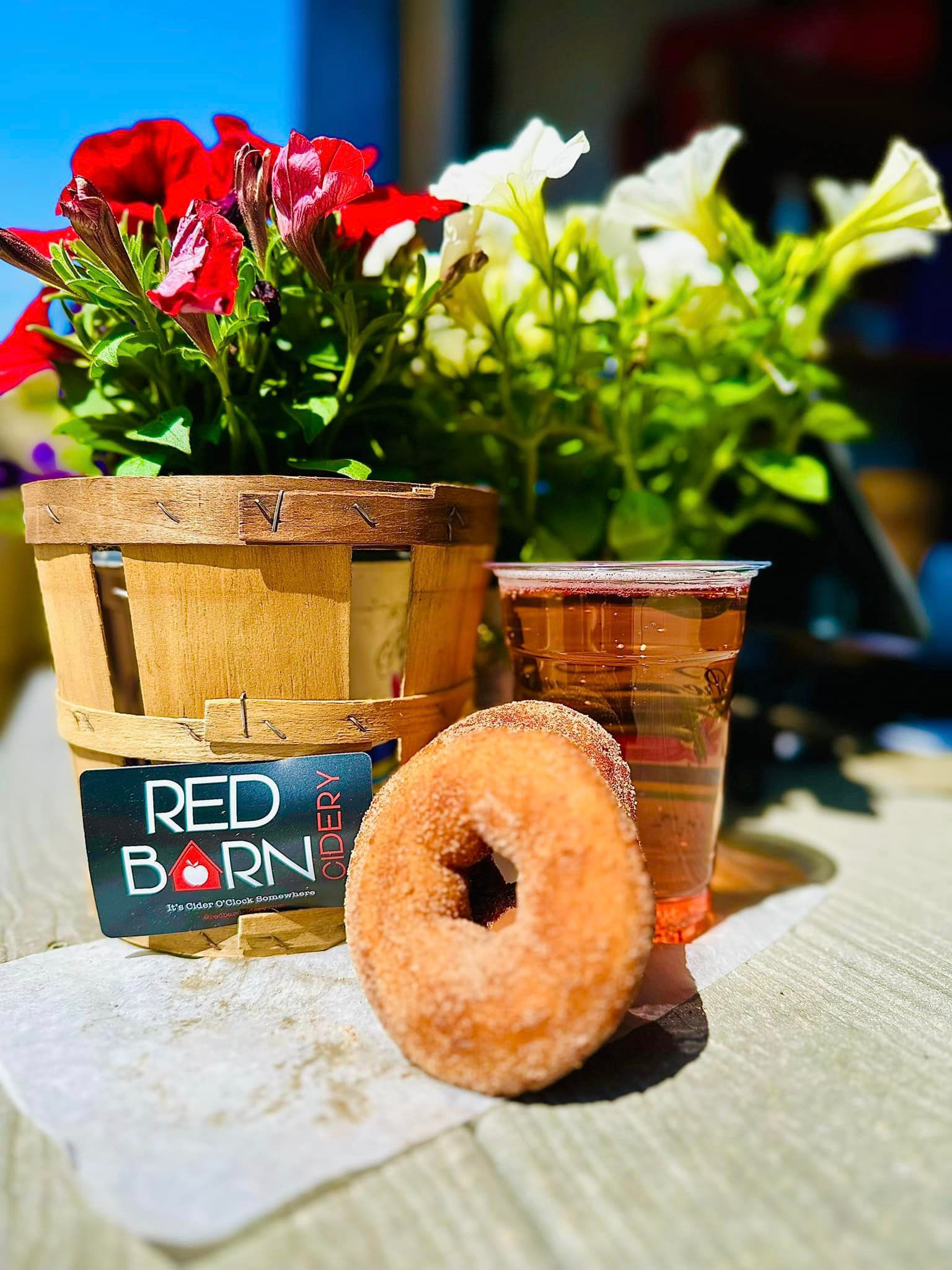Apple cider donut at Red Barn Cidery