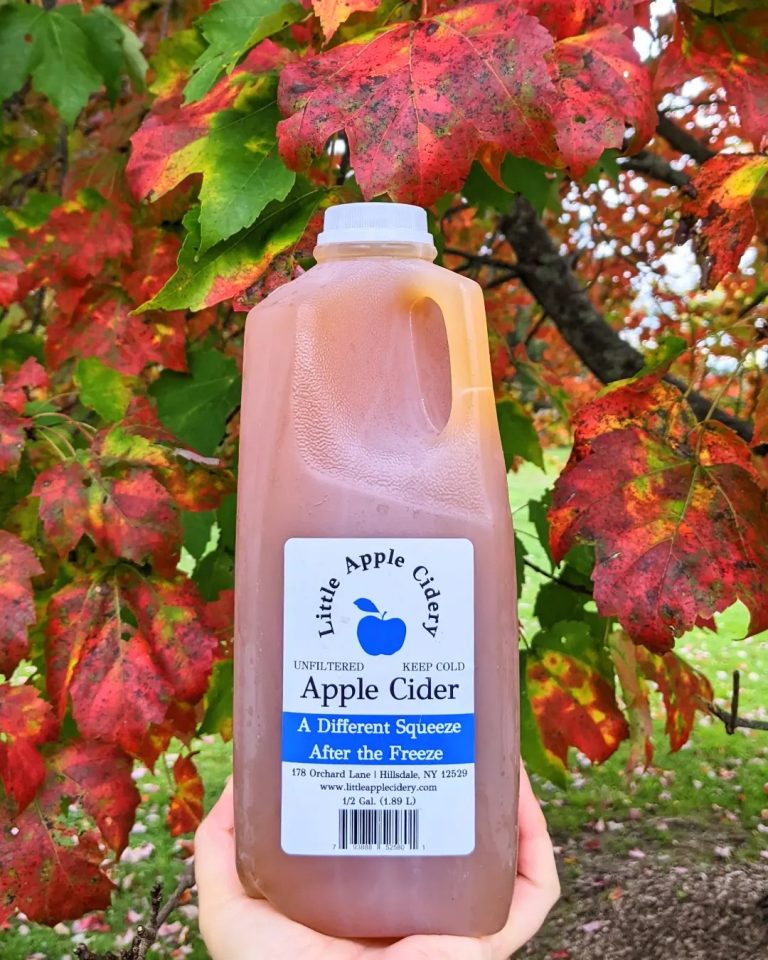 Half gallon of apple cider from Little Apple Cidery