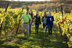 Millbrook Winery Tour of the Vineyard