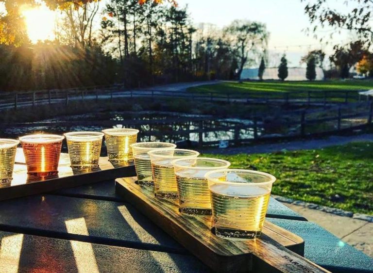 Cider flight outside at Hardscrabble Cider, Westchester County