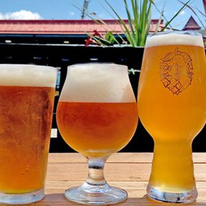 Beer flight in various types of glasses