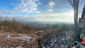 Bramley Mountain Fire Tower