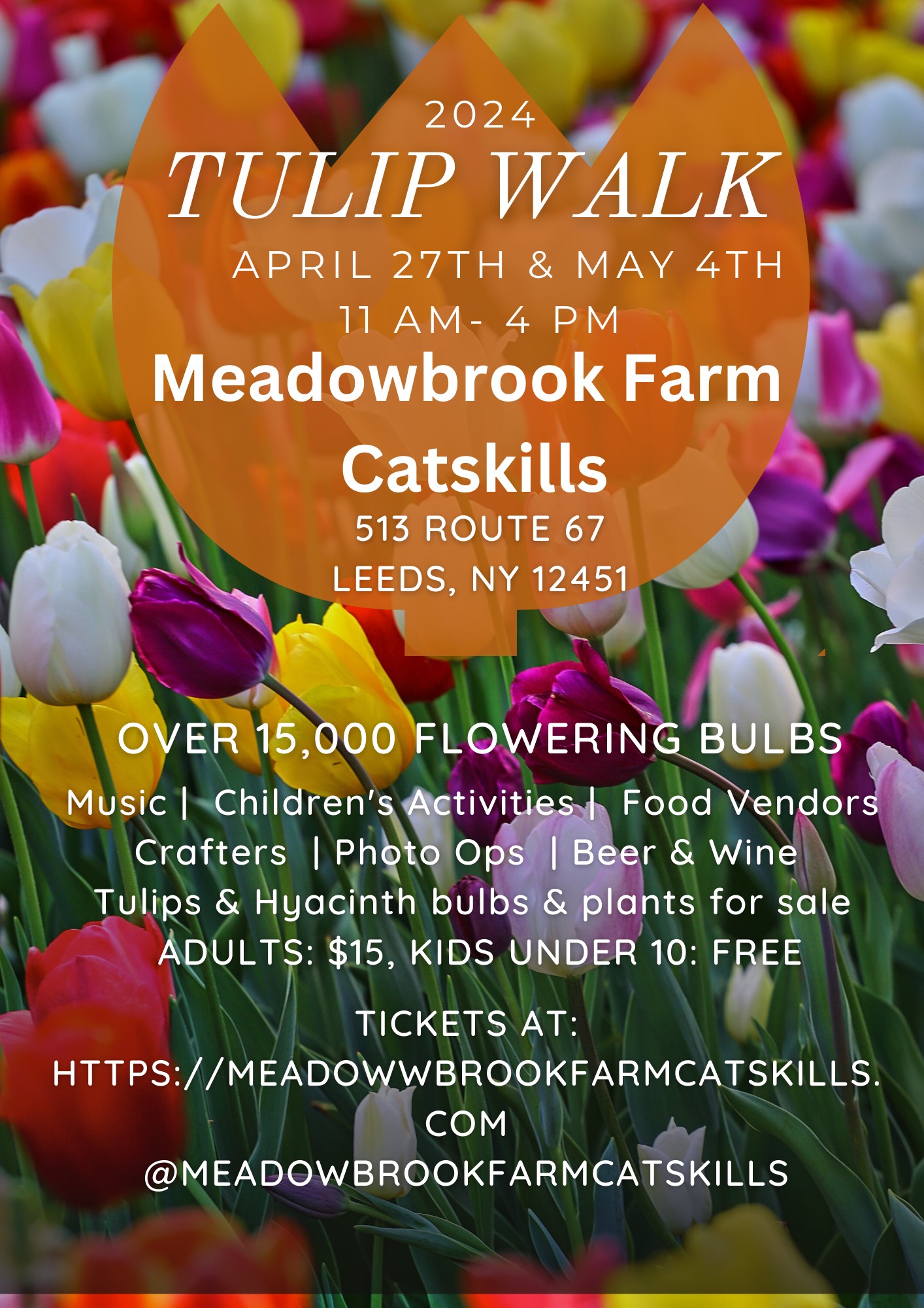 Meadowbrook Tulip Walk