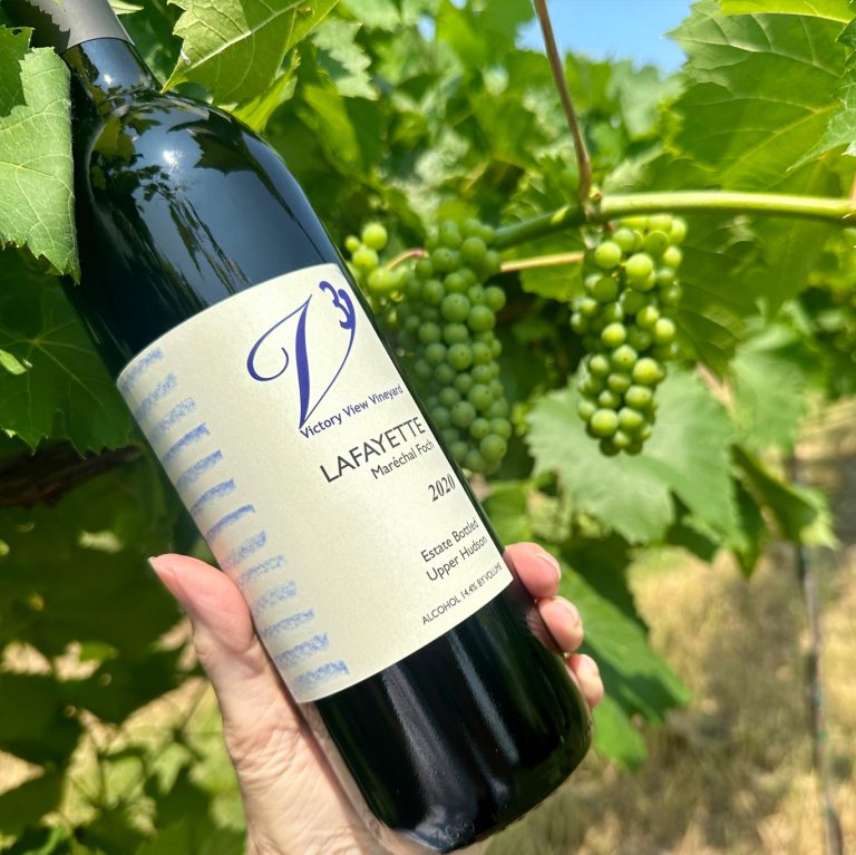 Victory View Vineyard