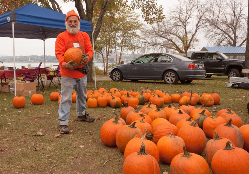 Pumpkin patch at the Beacon Sloop Club pumpkin festival at Pete & Toshi Seeger Riverfront Park