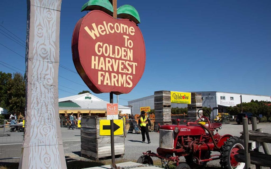 Golden Harvest Farms, Columbia County