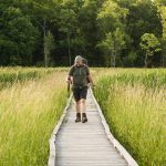 Hiker on the Appalachian Trail, Pawling, Dutchess County