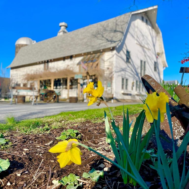 Jones Farm & Country Store building