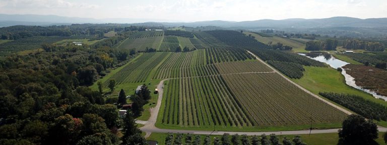 Aerial view of fields at Meet Me In Marlborough farm