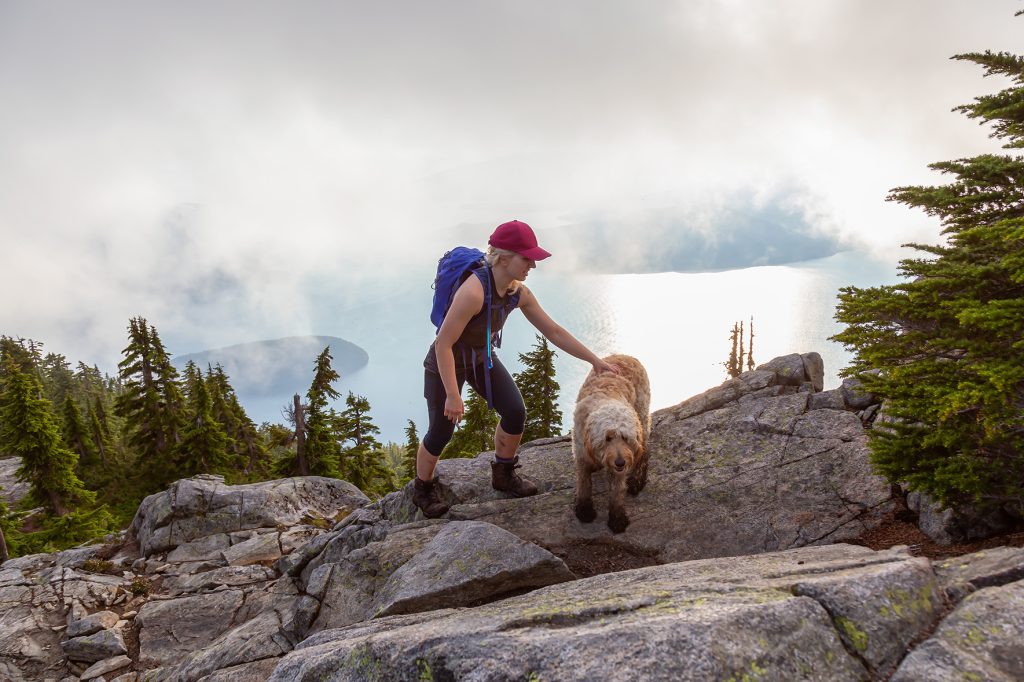 Adventurous Girl is hiking with a dog on top of a mountain during a sunny and cloudy summer day