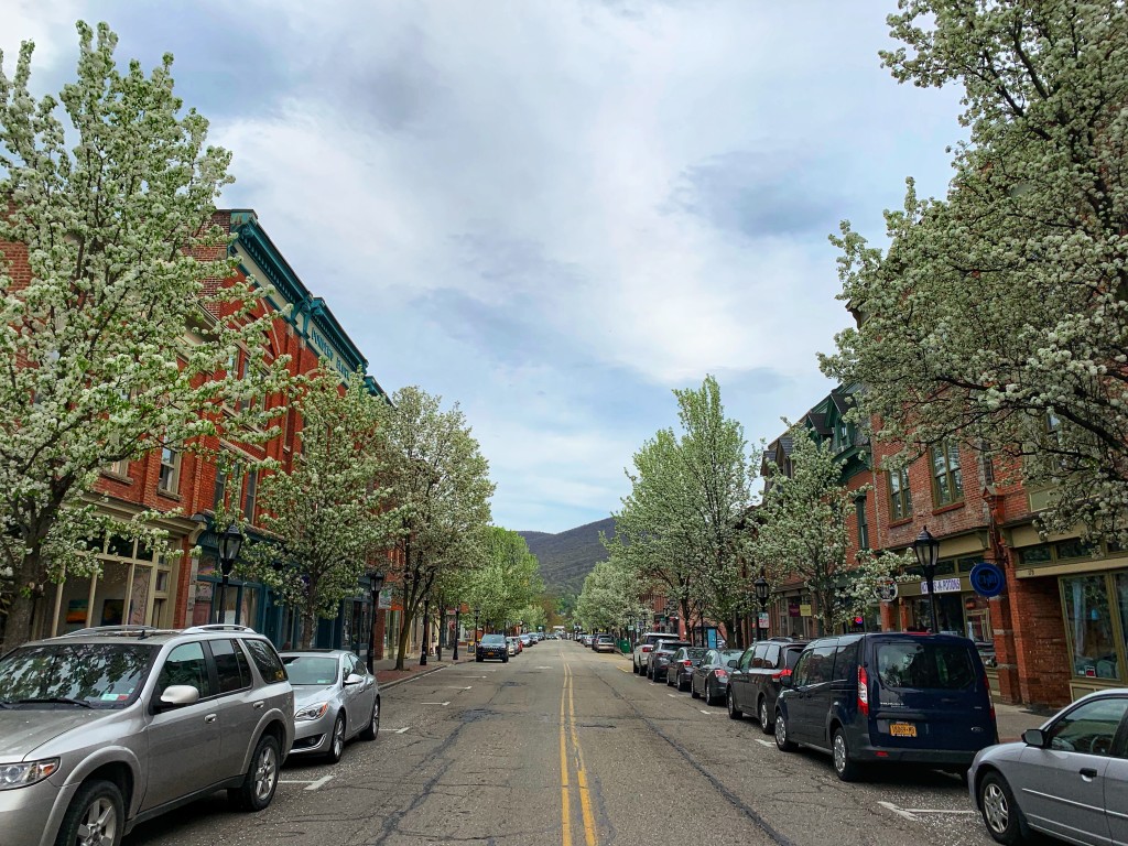 The tree-lined Main Street in Beacon on a spring day.