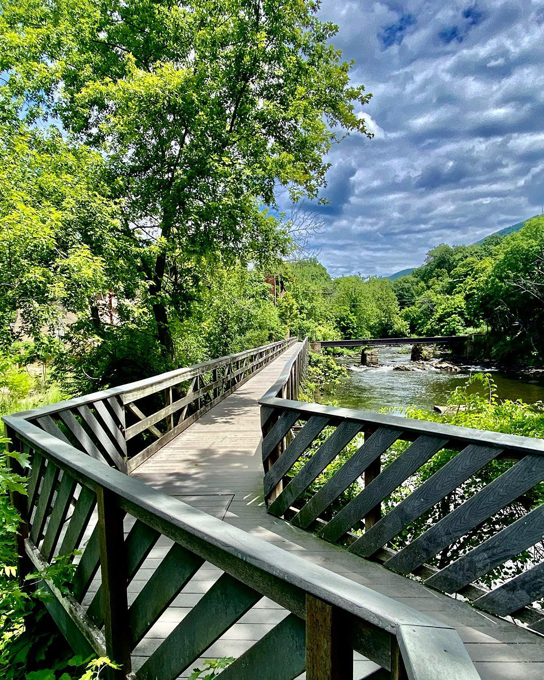 path in Madam Brett Park