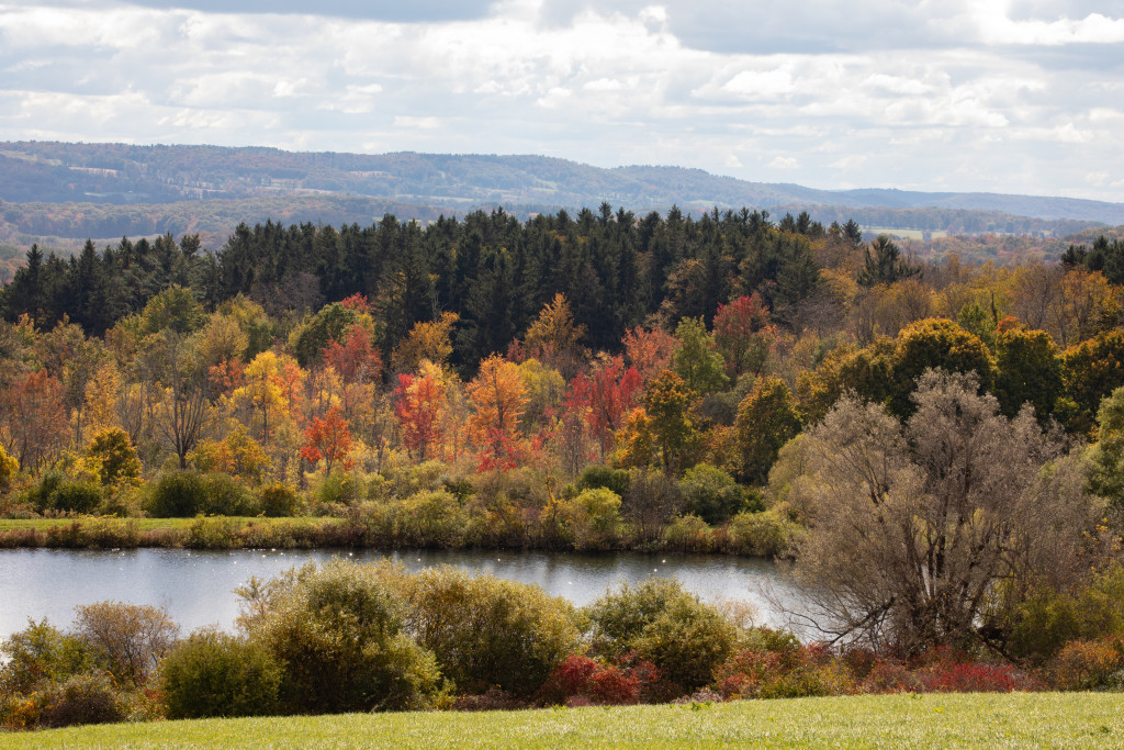 The view from a grassy hill on a partially overcast day of a pond surrounded by trees with orange and yellow fall foliage and evergreen trees at Wethersfield Estate and Gardens in Amenia.