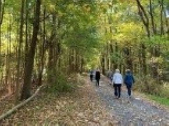 People walking along the woodland trail on the historic grounds of Staatsburgh State Historic Site in Staatsburg.