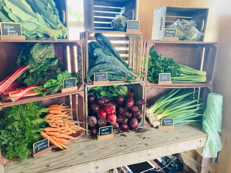 Glynwood veggies inside of farm store