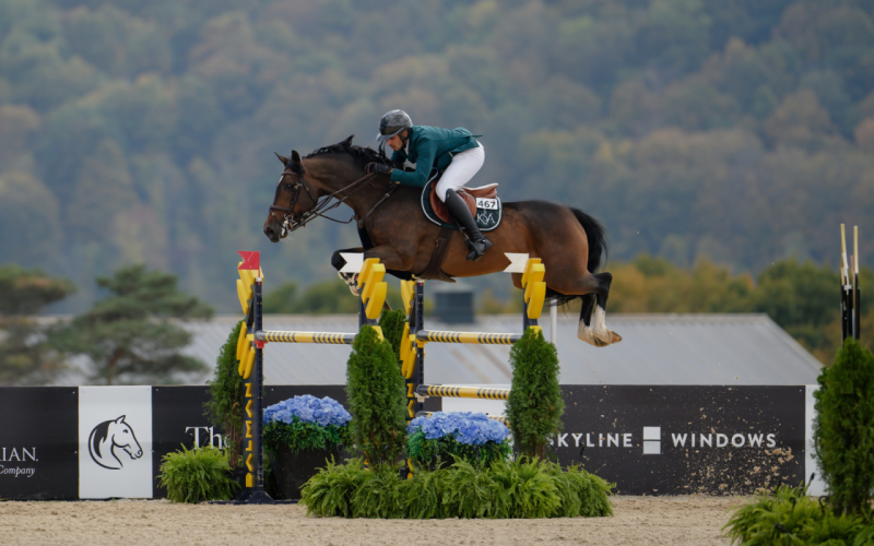A horse and rider jumping over an obstacle at the Silo Ridge Masters Horse Show at Keane Stud in Amenia