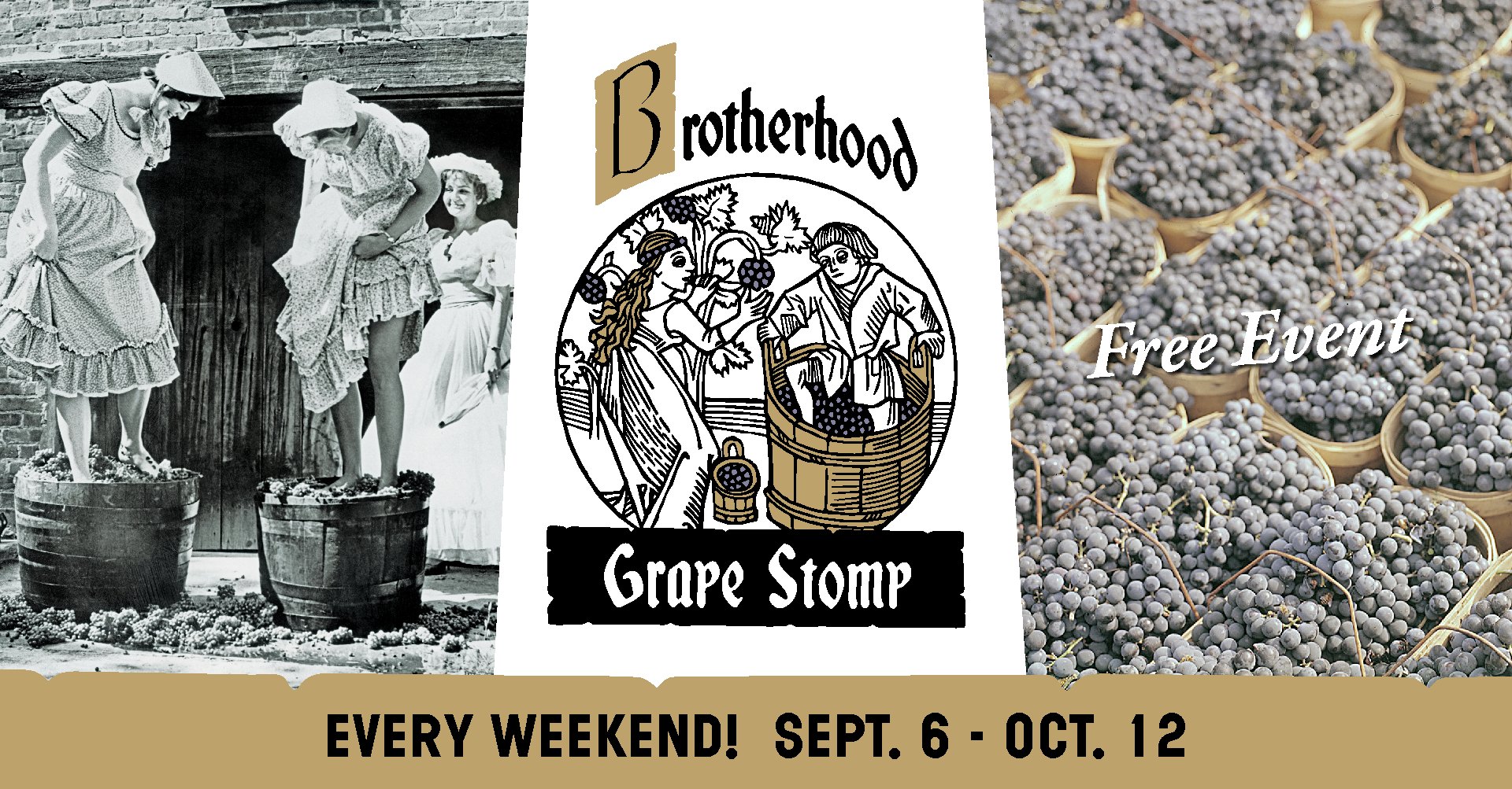 Brotherhood grape stomp 2025