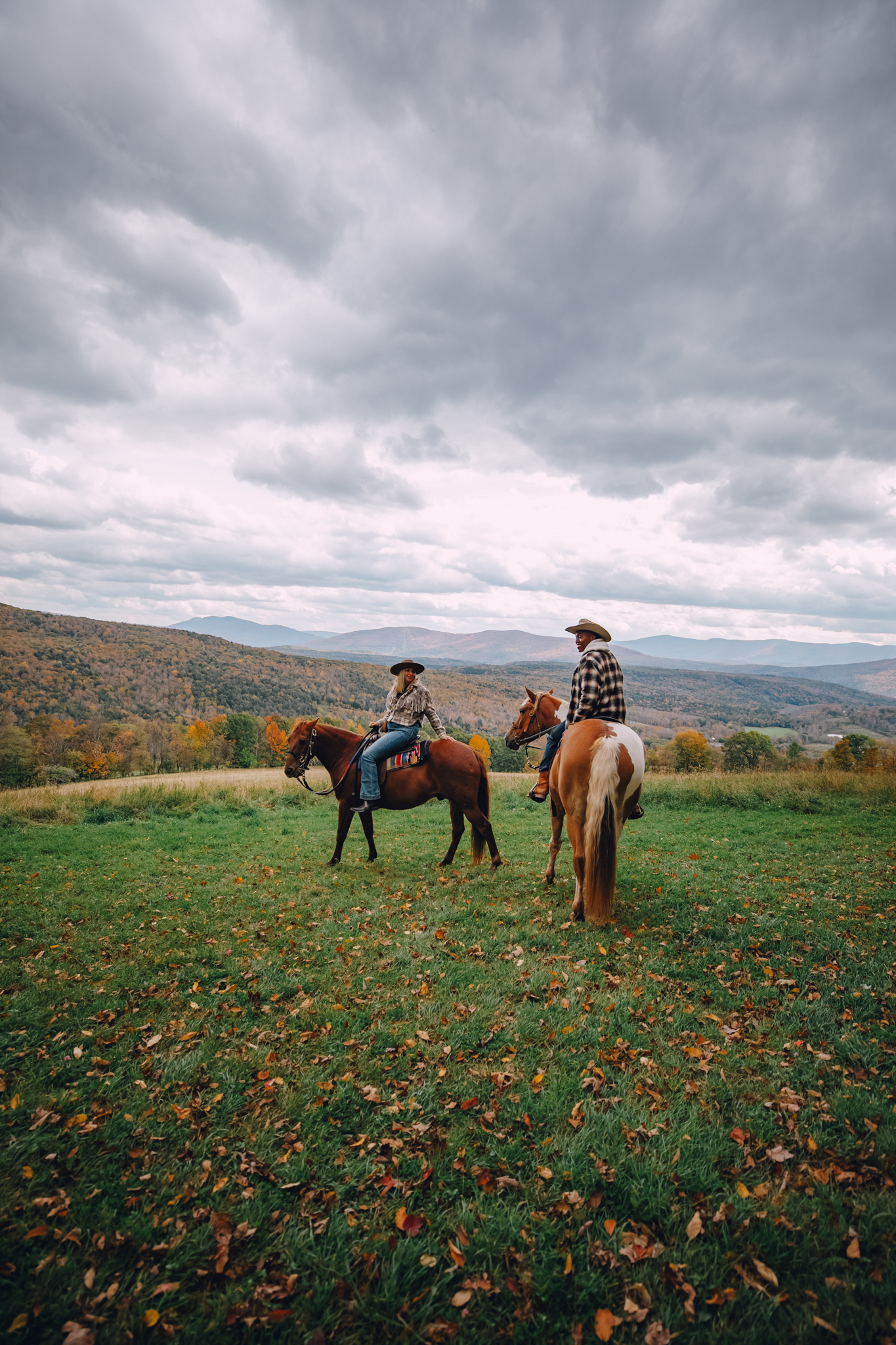 Mountain brook farm windham ny