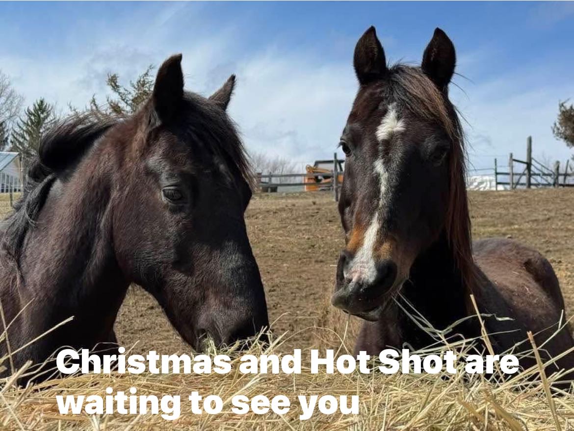 544966591 1360913389378181 4314044101269380984 n