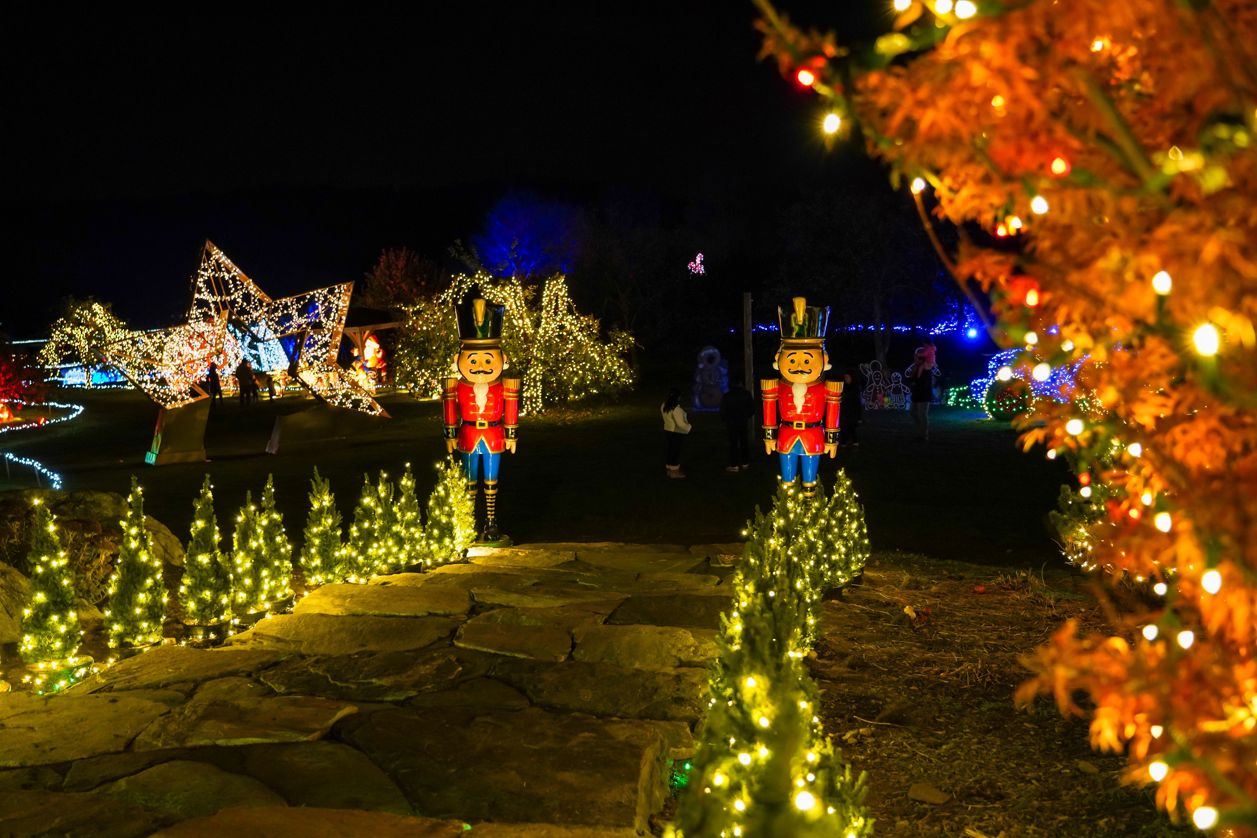 Twinkling outdoor lights adorn the hilly landscape of Harvest Moon.