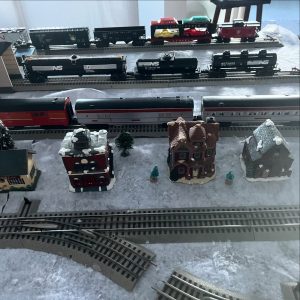 Holiday train show
