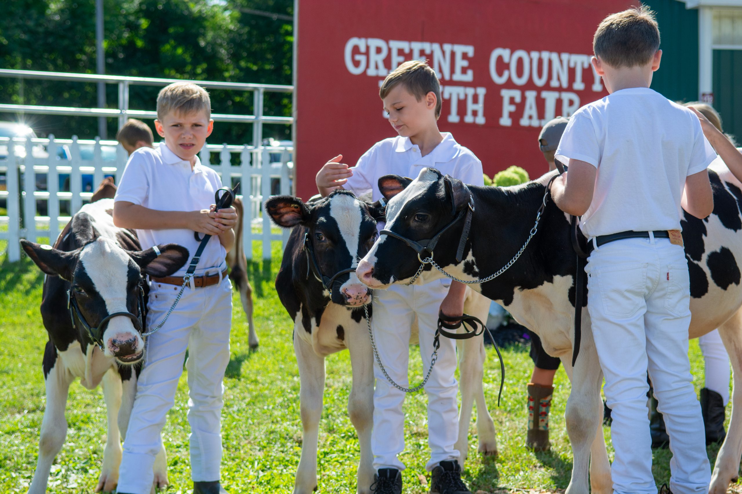The Greene County Youth Fair 2026