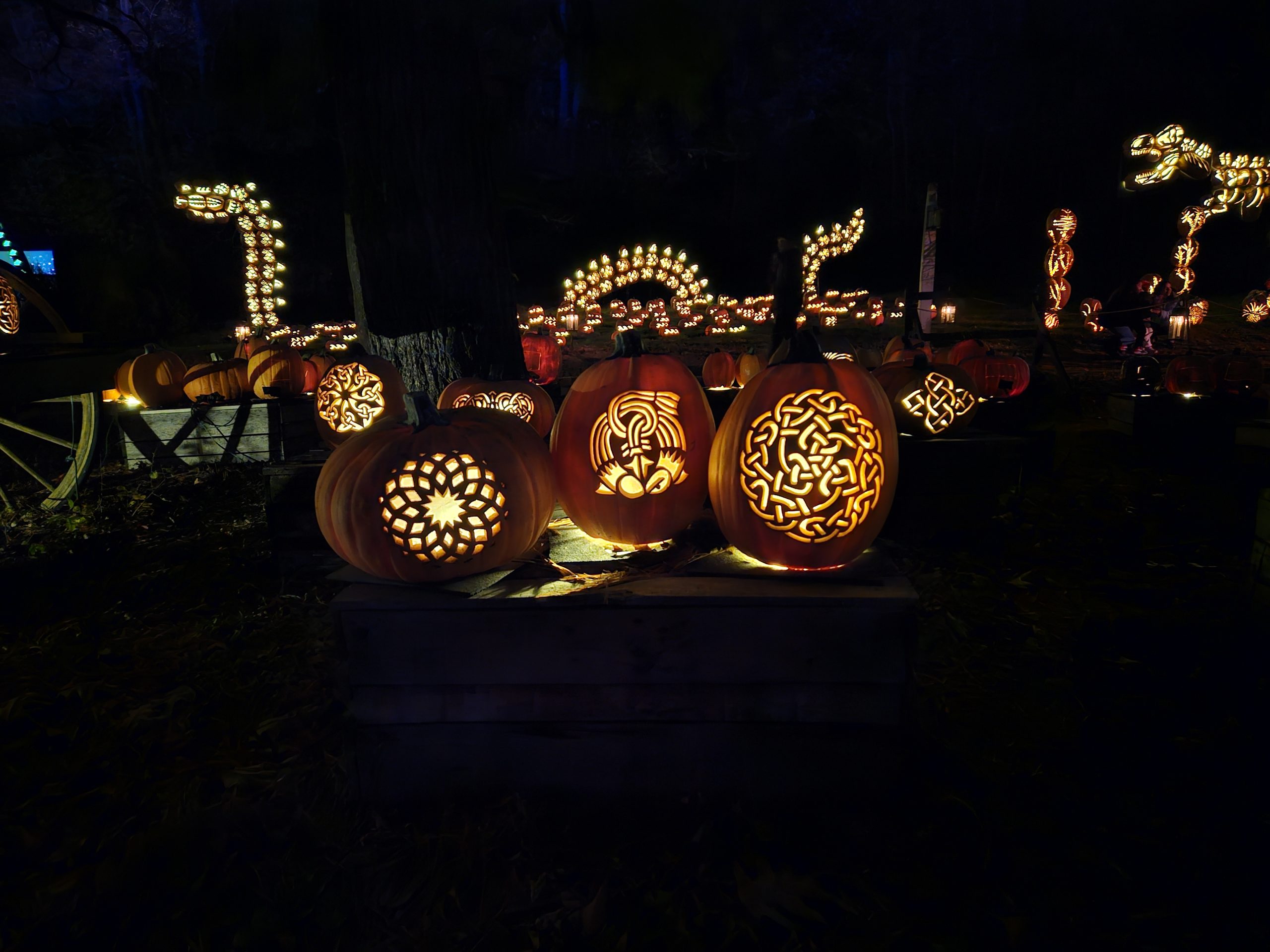 A sea serpent made of pumpkins at The Great Jack O'Lantern Blaze