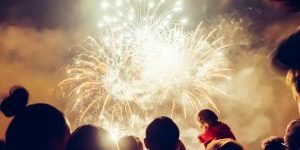 Crowd watching fireworks in the night sky