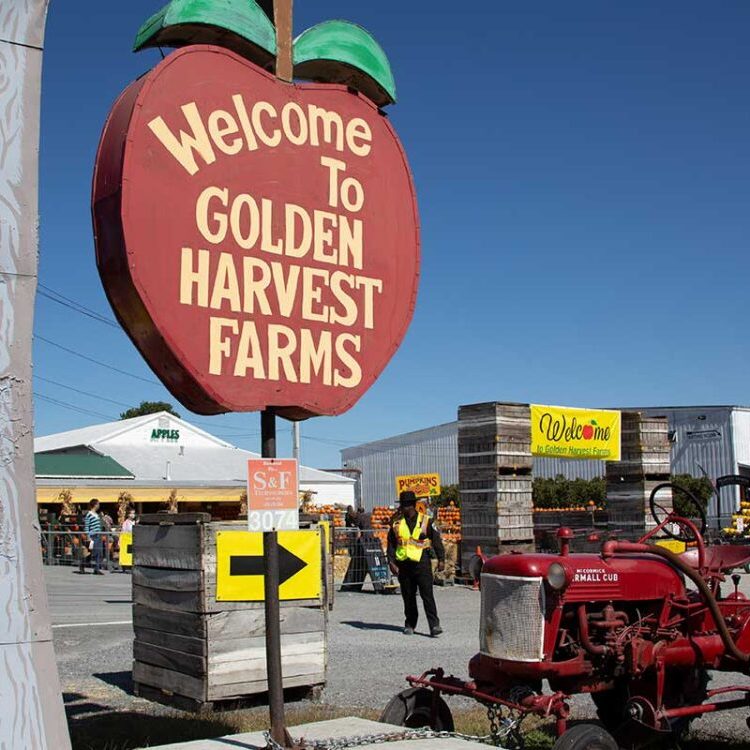 Golden Harvest Farms, Columbia County
