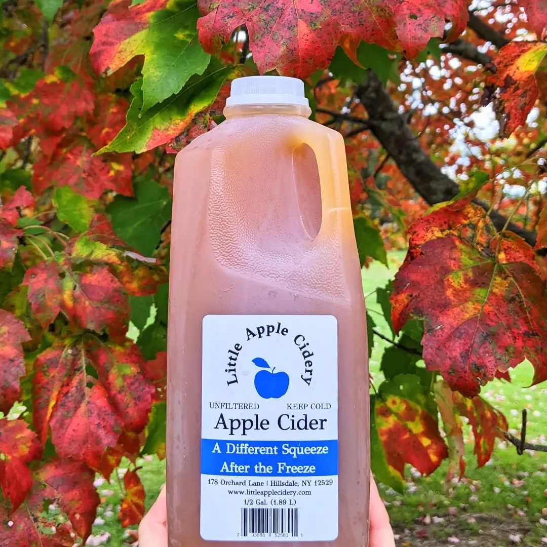 Half gallon of apple cider from Little Apple Cidery