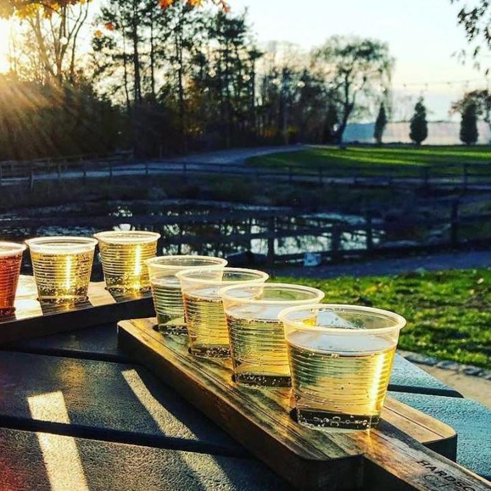 Cider flight outside at Hardscrabble Cider, Westchester County