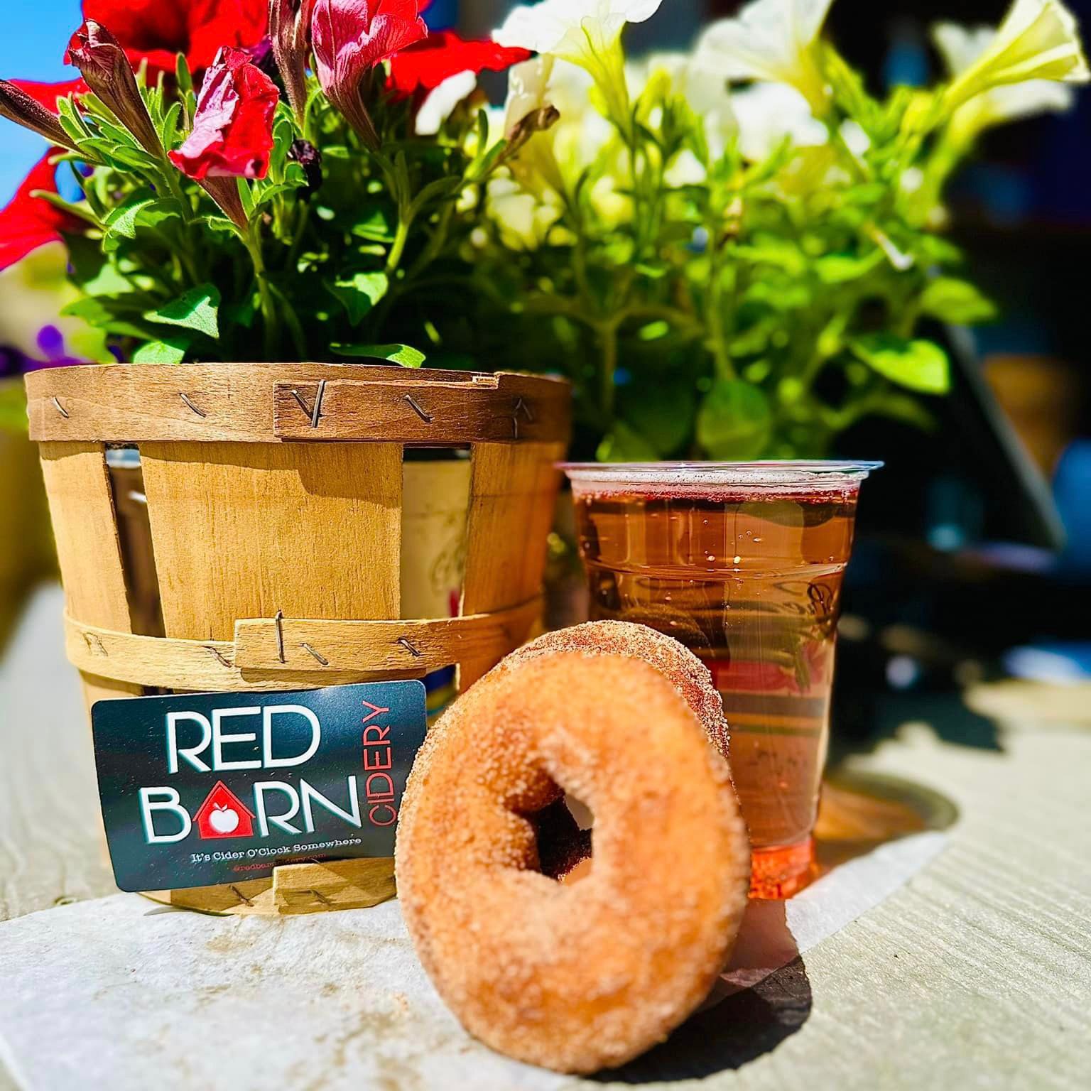 Apple cider donut at Red Barn Cidery