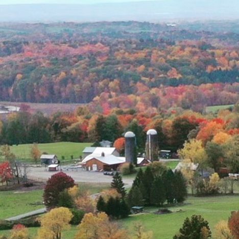 S&S Farm Brewery, Rensselaer County