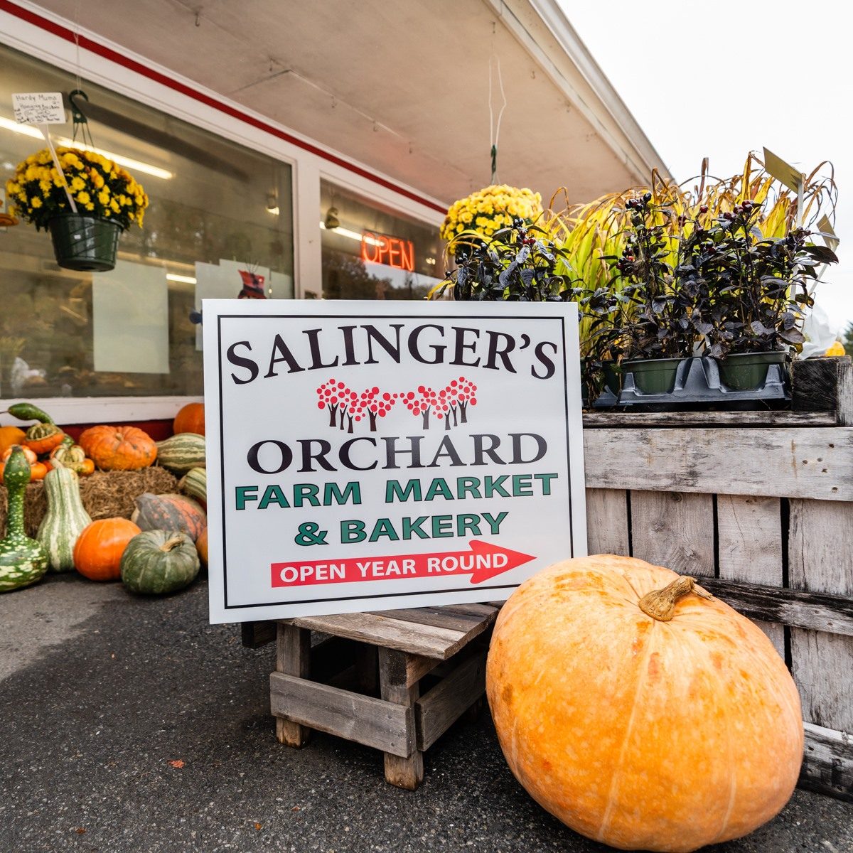 Entrance sign at Salinger's Orchard