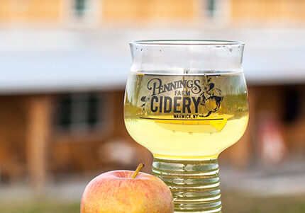 Cider tasting in the hudson valley