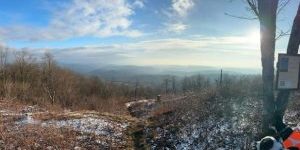 Bramley Mountain Fire Tower