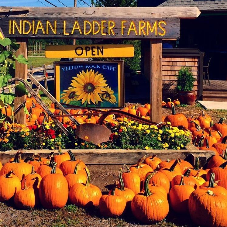 Indian Ladder Farms pumpkin booth