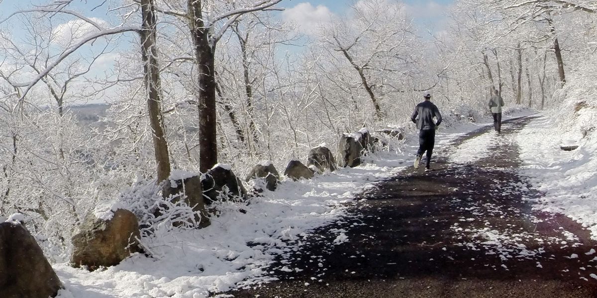 Rockefeller State Park Preserve in Pleasantville is just one of the NYS parks offering New Year’s hikes. Photo by Joe Golden