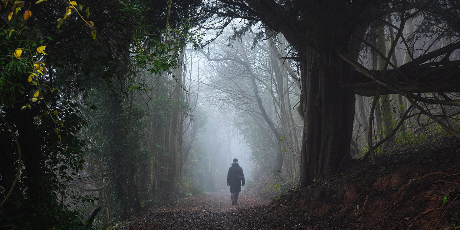 walk through misty forest