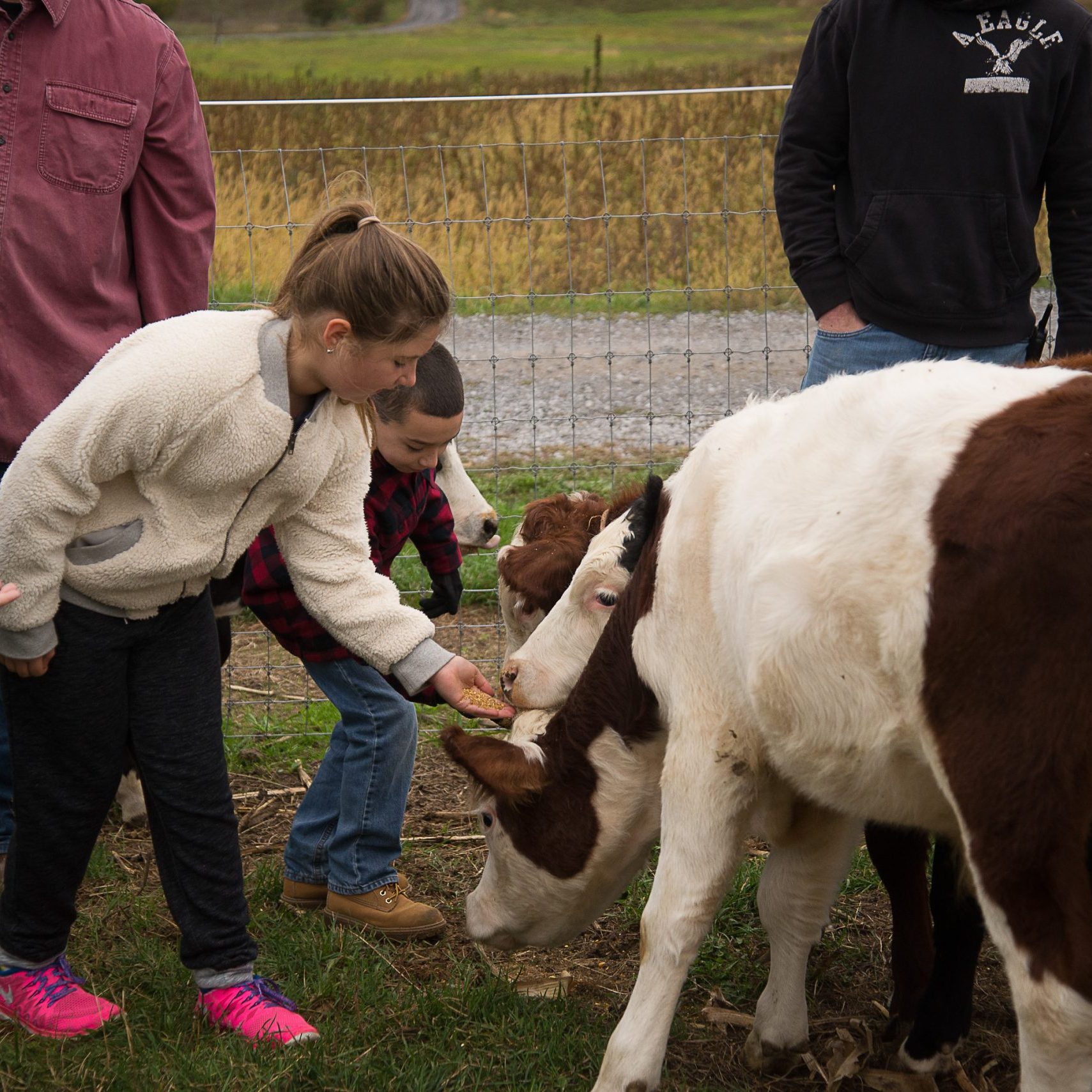 Kids feeding calves at Cluckin' "A" Critter Farm